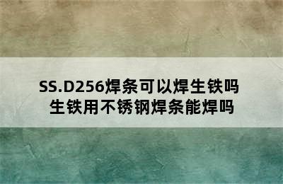 SS.D256焊条可以焊生铁吗 生铁用不锈钢焊条能焊吗